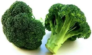 Deux morceaux de brocoli sont disposés côte à côte.
